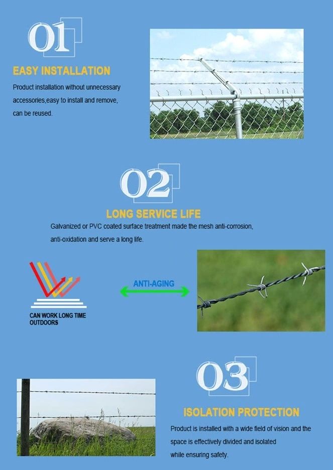 Factory Customized Galvanized Barbed Wire Airport Fence (2) ခု၊