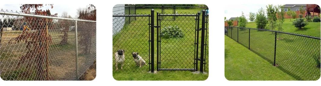 PVC COATED GALVANIZED WIRE MESH FENCE SECUTIRY FENCE FACTORY PRICE (6)
