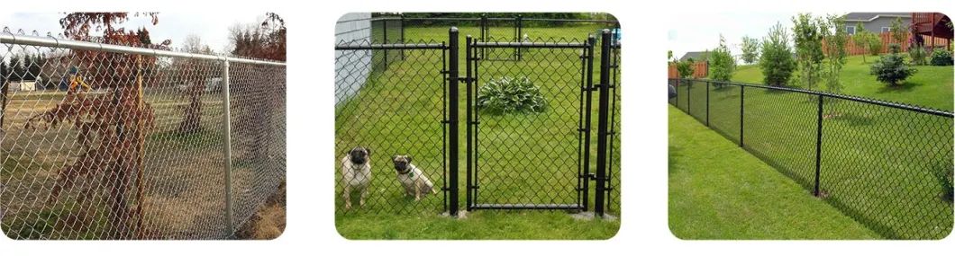 PVC COATED GALVANIZED WIRE MESH FENCE SECUTIRY FENCE FACTORY THEKO (6)